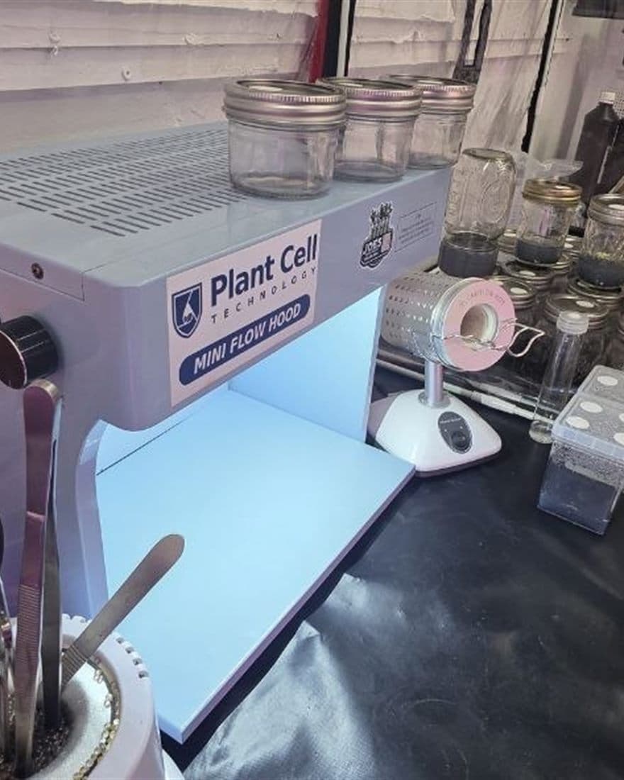 Cabina de flujo laminar Plant Cell en el laboratorio de Joe's Exotic Lab