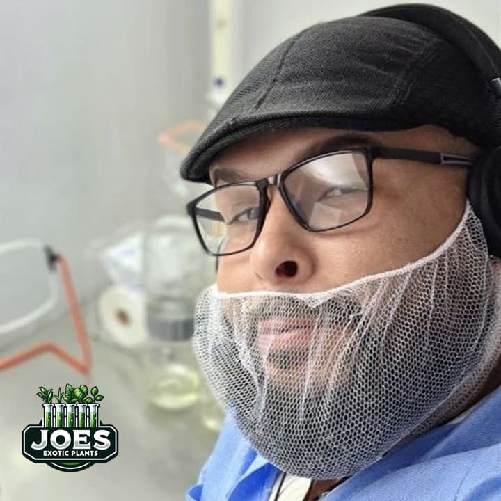 Jose Marcano Camacho