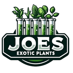 Joe's Exotic Lab